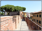 foto Camminamento delle mura di Pisa